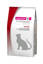 Picture of EUK INTESTINAL DOG            