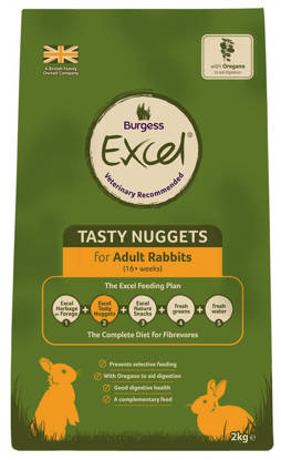 Picture of EXCEL RABBIT