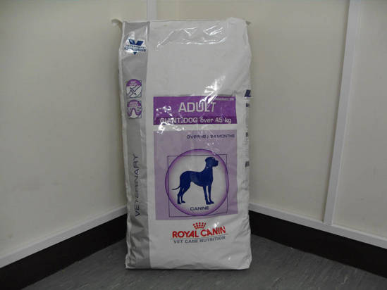 Picture of RCVCN ADULT GIANT DOG DRY     